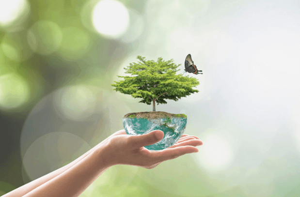 world environment day